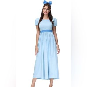 Adult Wendy Darling Costume Peter Pan